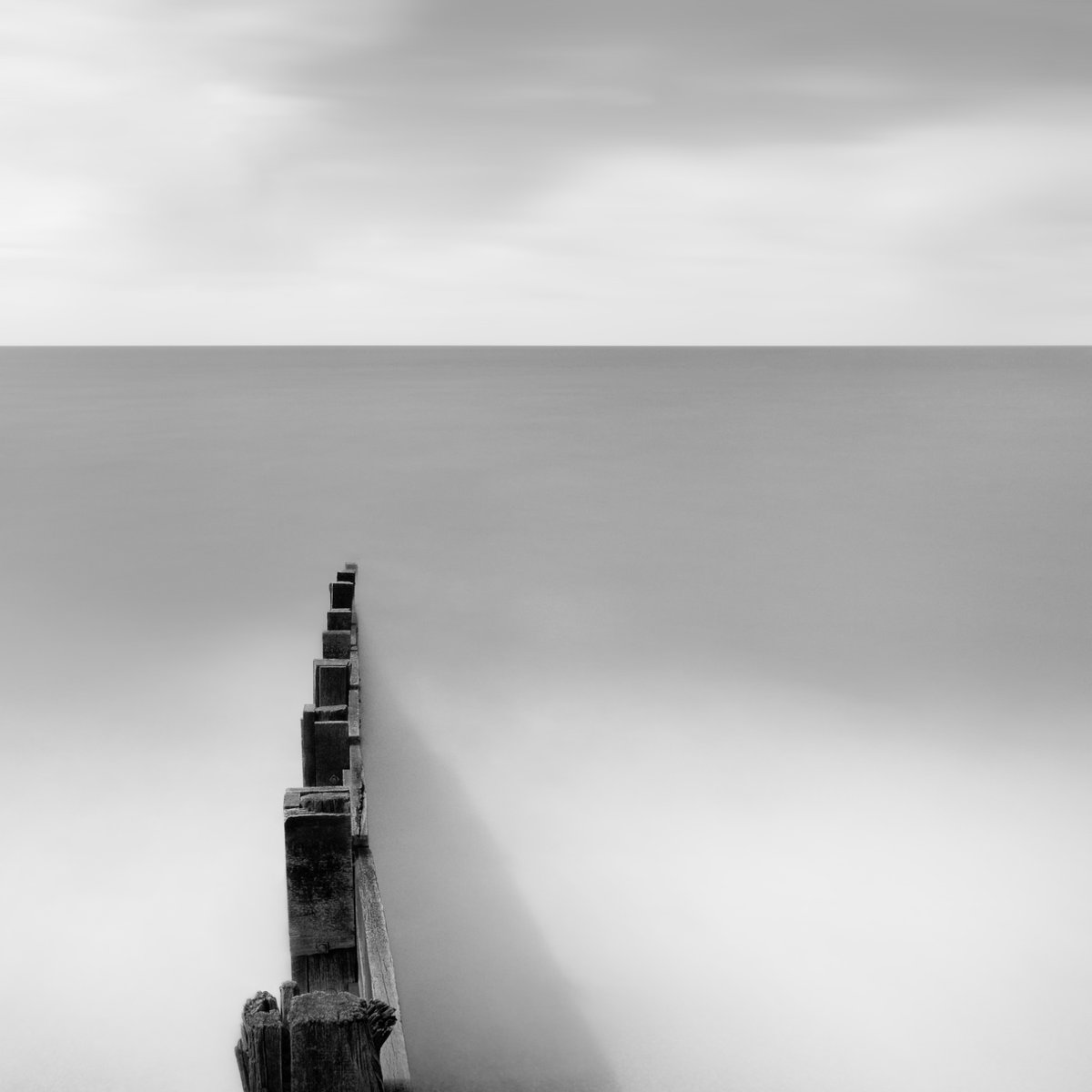 _michaelhartley's tweet image. Gm

&apos;Solent&apos;