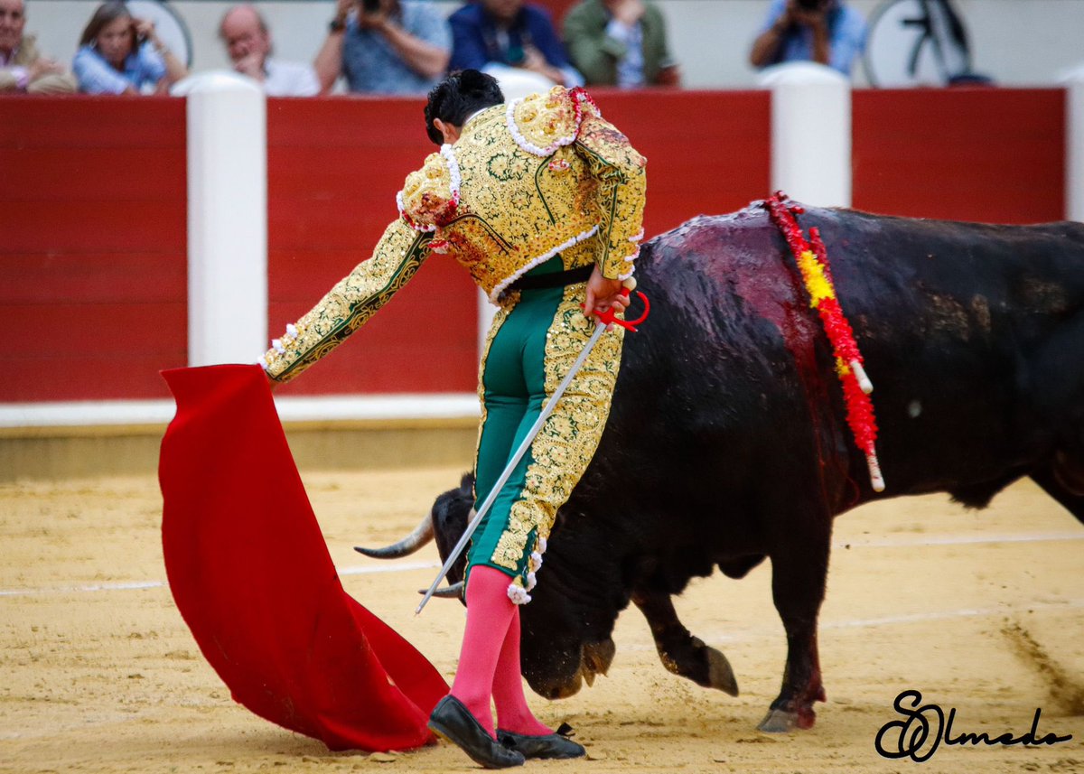 Aparte de Morante ,el torero de el Maestro Rafael de Paula era Mario Navas...desde el cielo te va a ayudar y disfrutará de ti desde el palco de los elegidos..