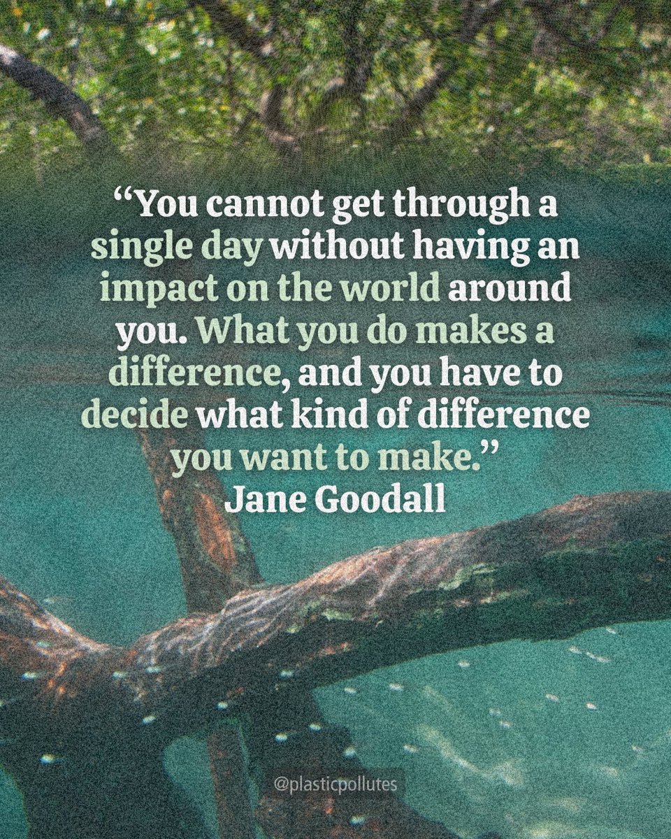 🌳 Every action we take is like planting a seed—tending it with care, patience, and sunlight. ☀️ We may not see the result ourselves, but our choices ripple outward, shaping our communities, and the world around us.  🌍 What kind of difference do you want to make? ⁠