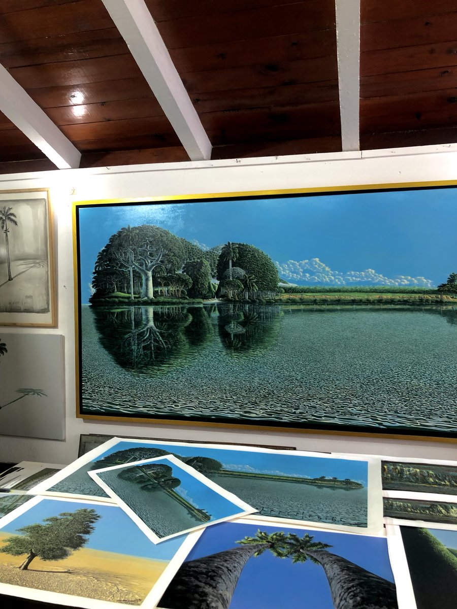 Elcamara (@elcamaraae2023) on Twitter photo 