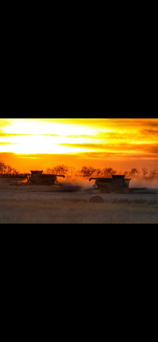 Chuck Deluxe tweet media