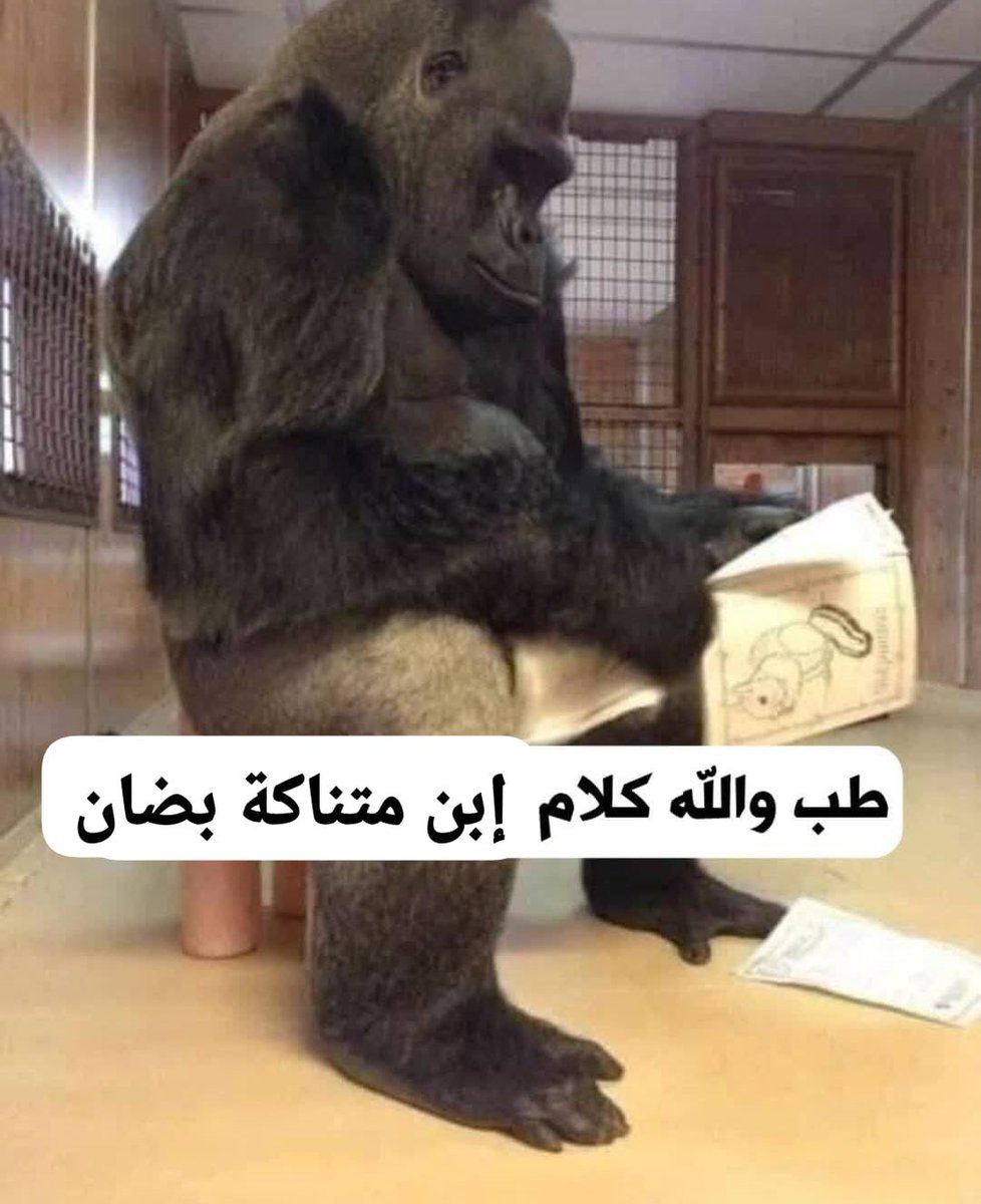 dai (@babydoda111) on Twitter photo 