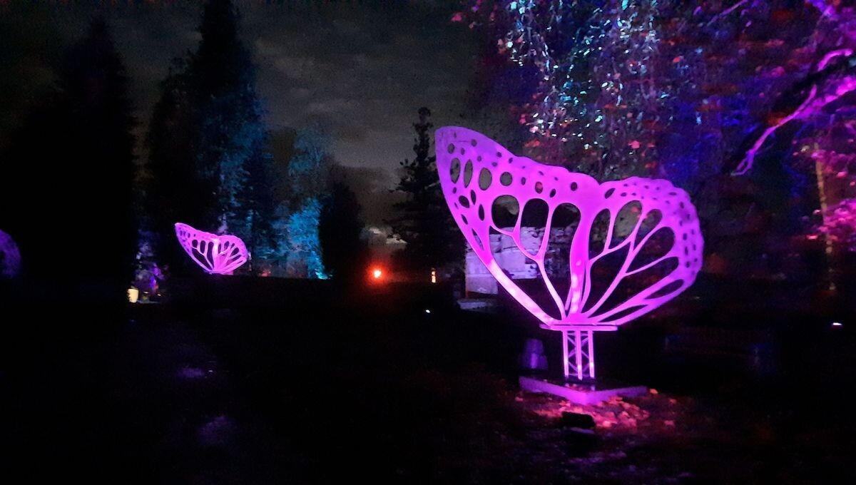 Encore 32 dodos avant de profiter d'Arbora Lumina, LE spectacle de cette fin d'année en  Normandie à ne pas manquer, au domaine d'Harcourt (dans l'Eure, évidemment). 
➡️ l.ici.fr/y5V