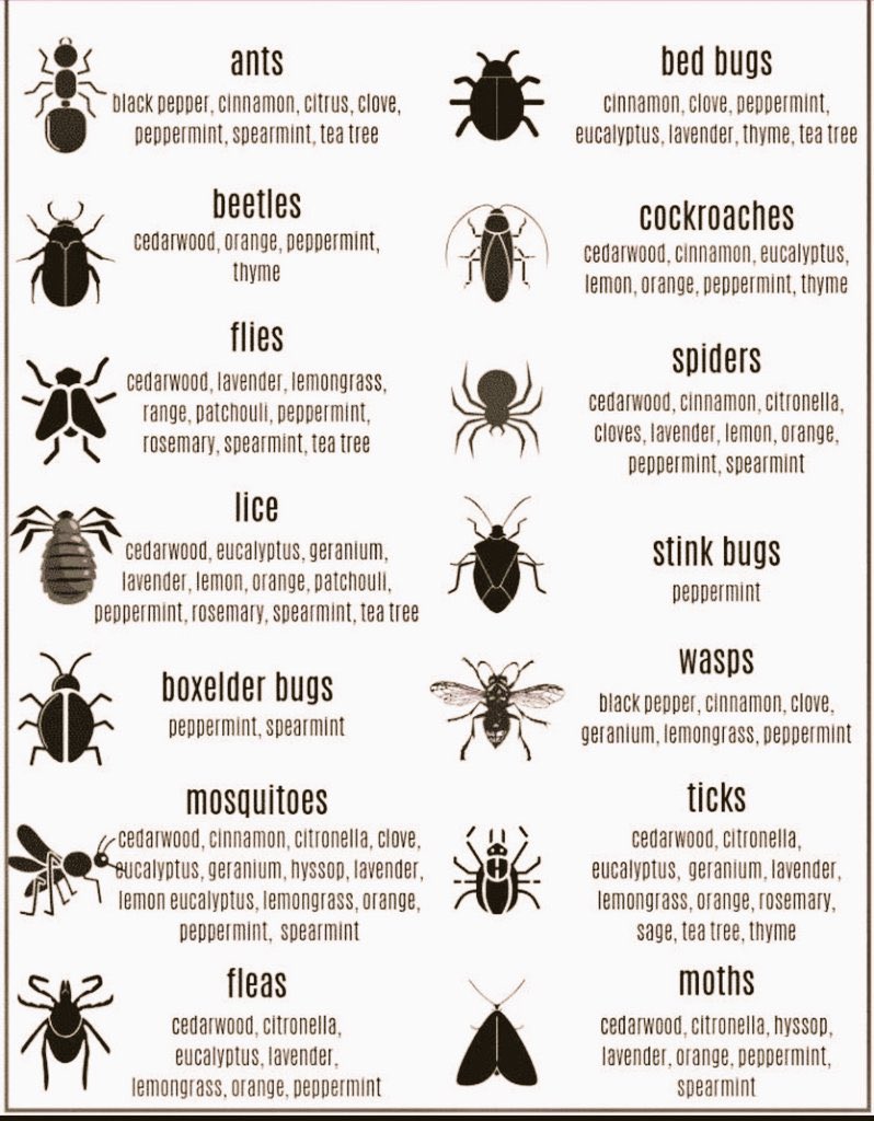 SAFO NYAME HERBAL THERAPEUTICS tweet media