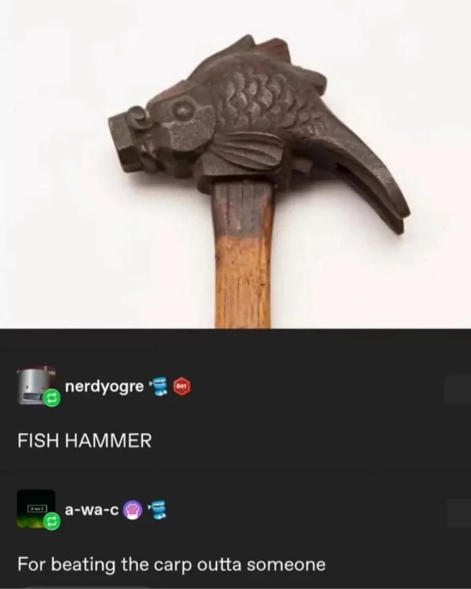 Fish Hammer #hammer #memes #fish #carp #funny