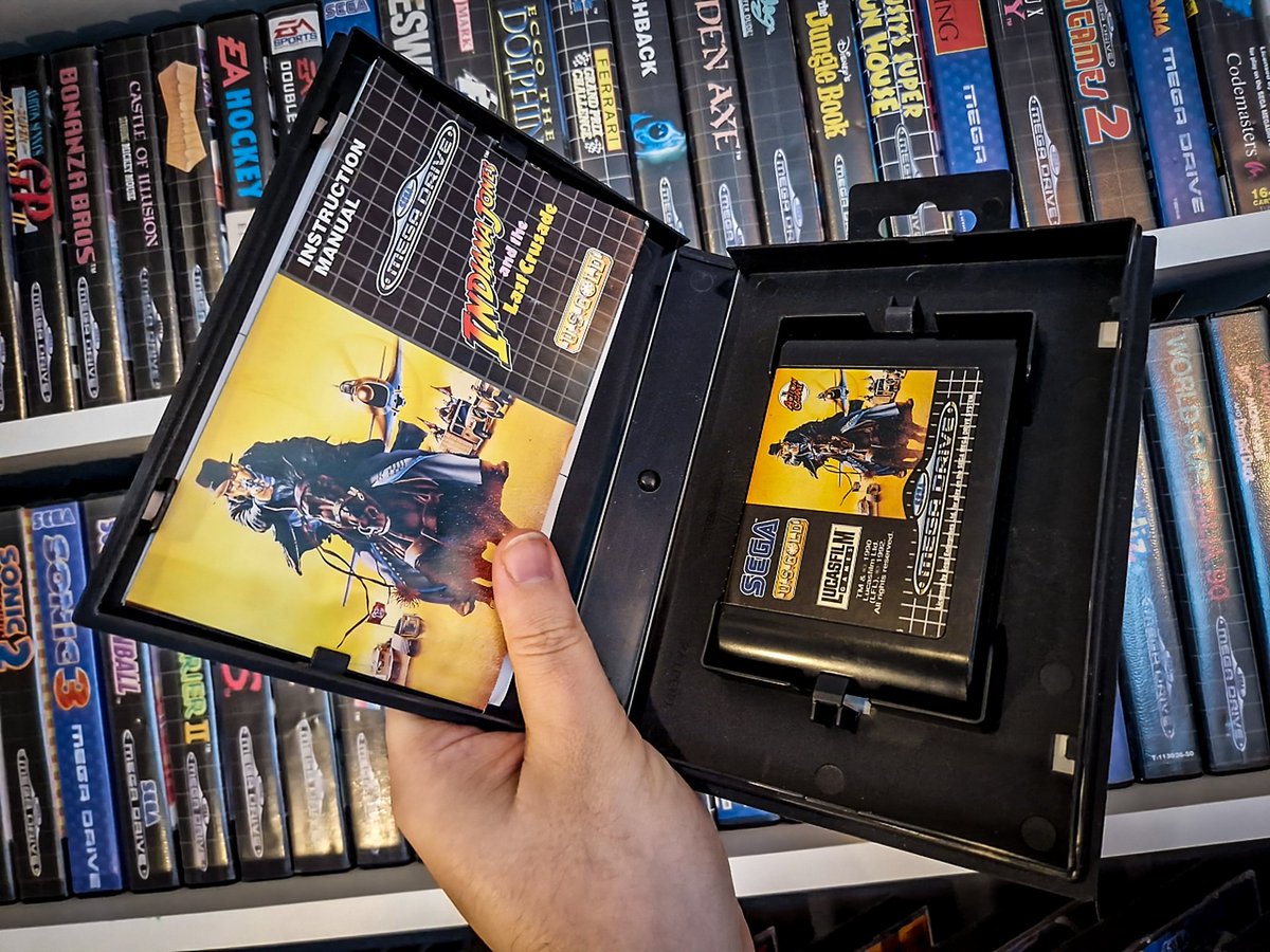 𝗠𝗲𝗴𝗮𝗭𝗫 ▪️◢◢𝘇𝘅 ▪️@megazx.bsky.social tweet media