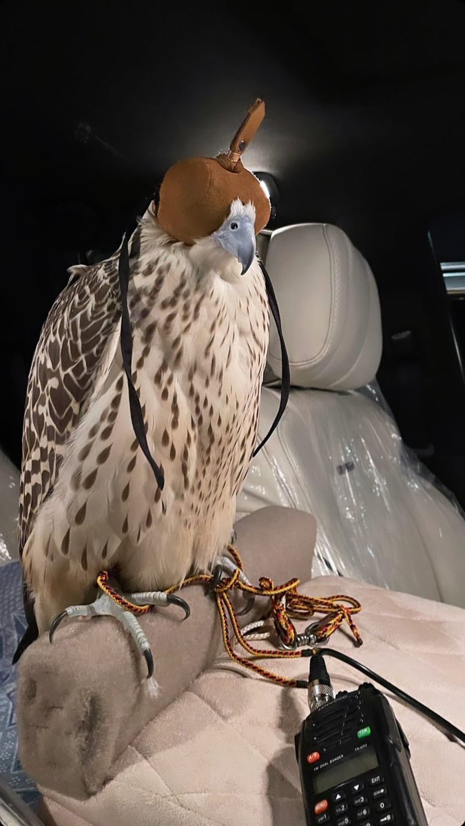 الفعول الطـيبه لـ اهل الوفا محفوظه
جعل ربي من وجيه اهل الردى ياجرنا