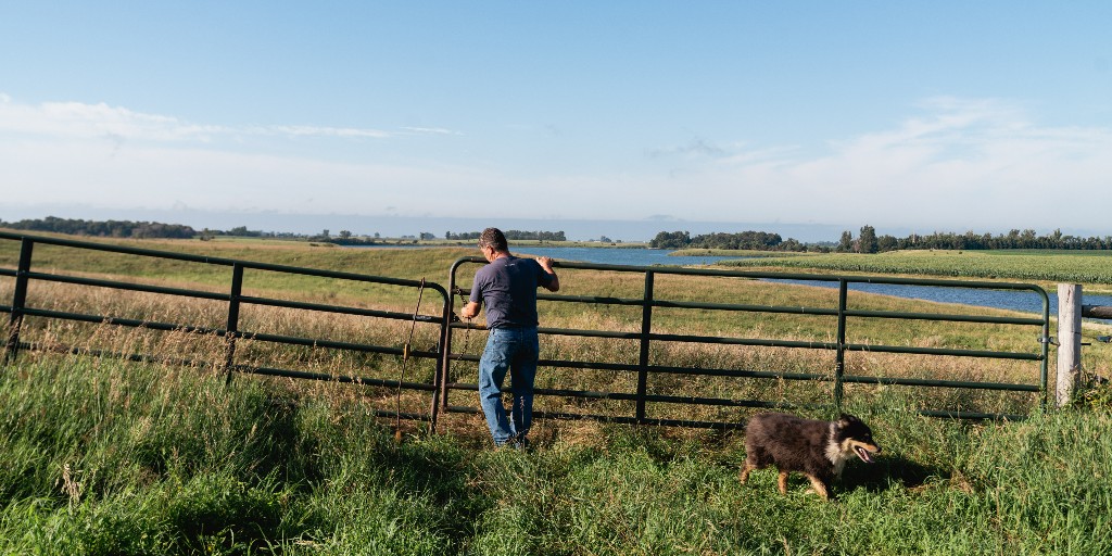 sdgoed's tweet image. @GovLarryRhoden and @SDGOED have lowered interest rates for Rural Development loans giving South Dakota’s farmers &amp;amp; ranchers more room to grow.

🌾 3.5% base rate
🐄 2.5% for beginning farmers

Learn more: bit.ly/4nyvACJ

#SDAg #OpenForOpportunity #SouthDakota