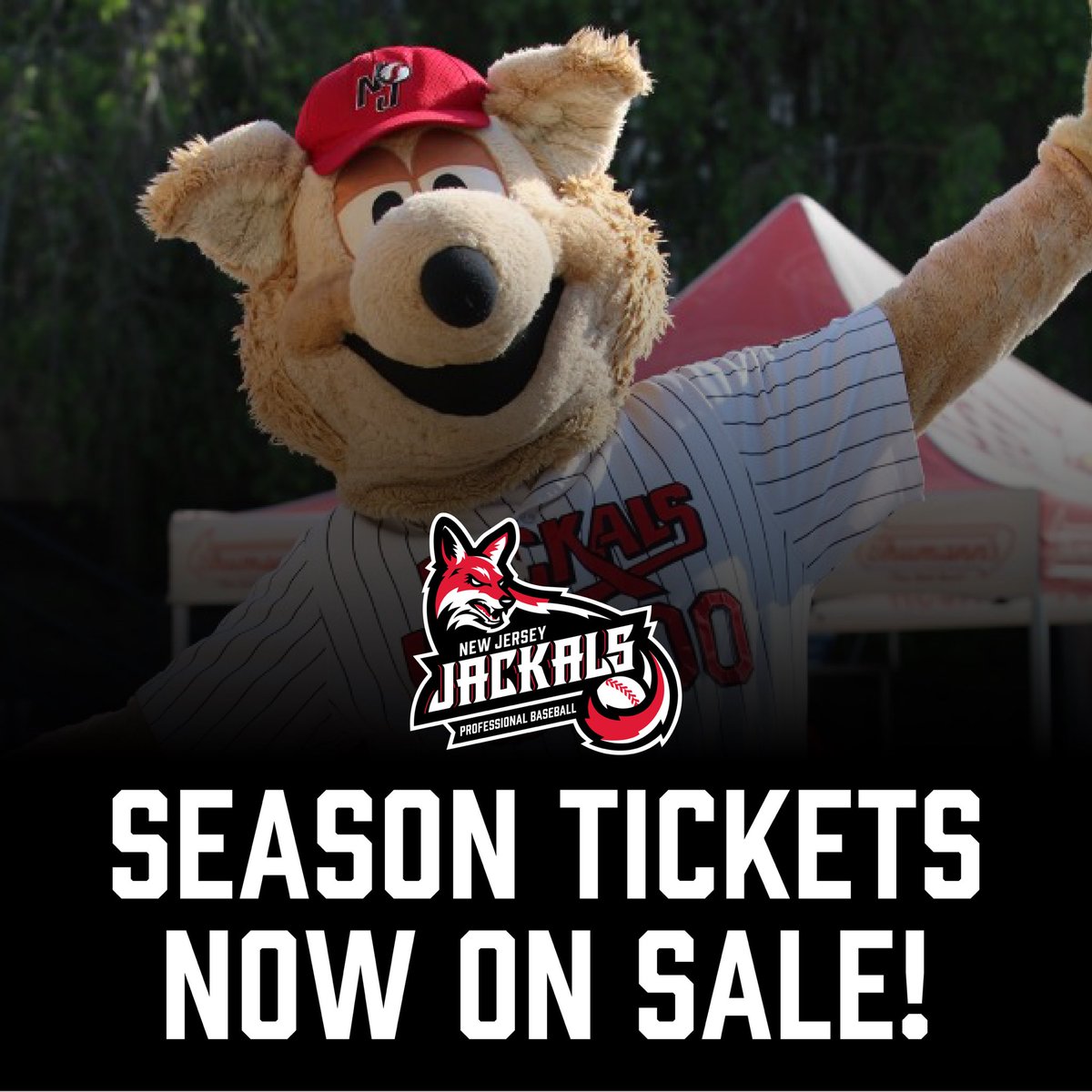 New Jersey Jackals tweet media