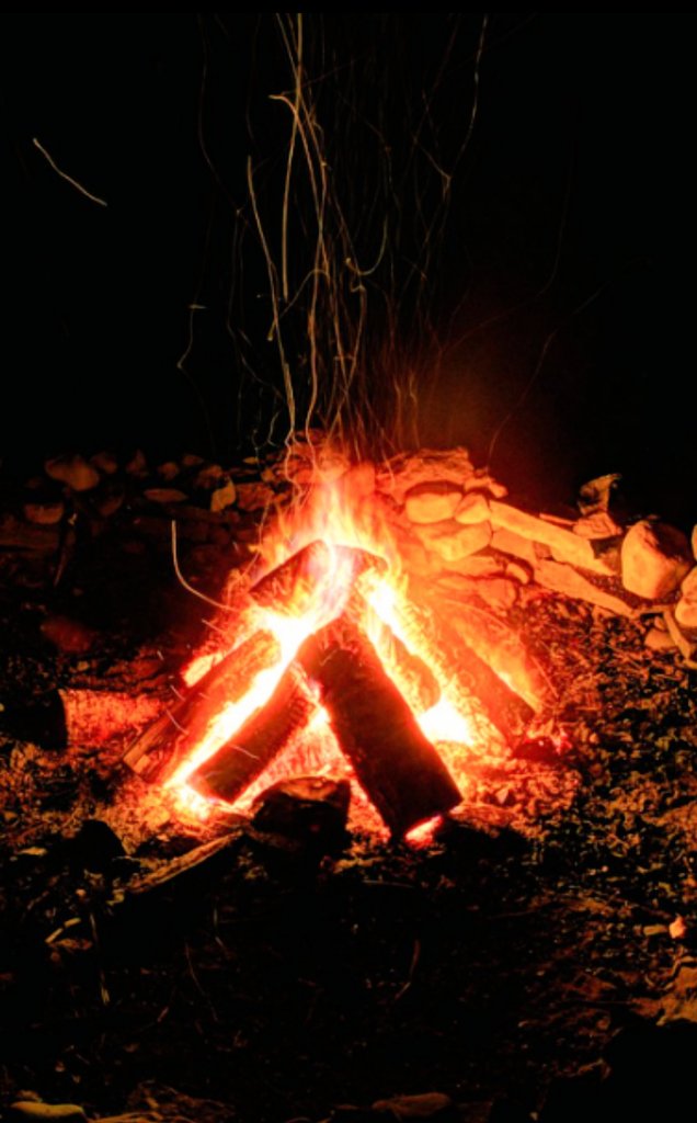 Common Man 101 tweet media