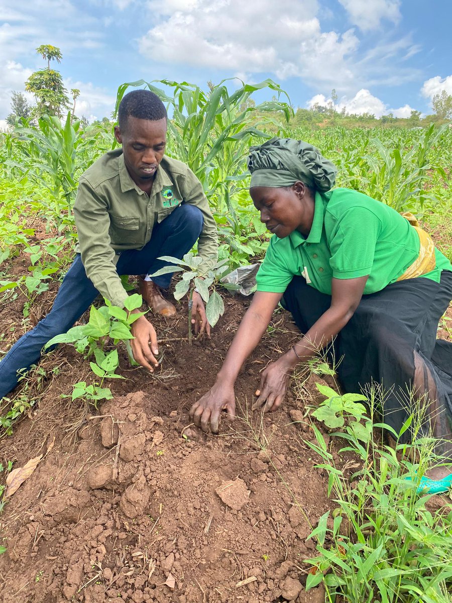 Rural Environment and Development Organization tweet media
