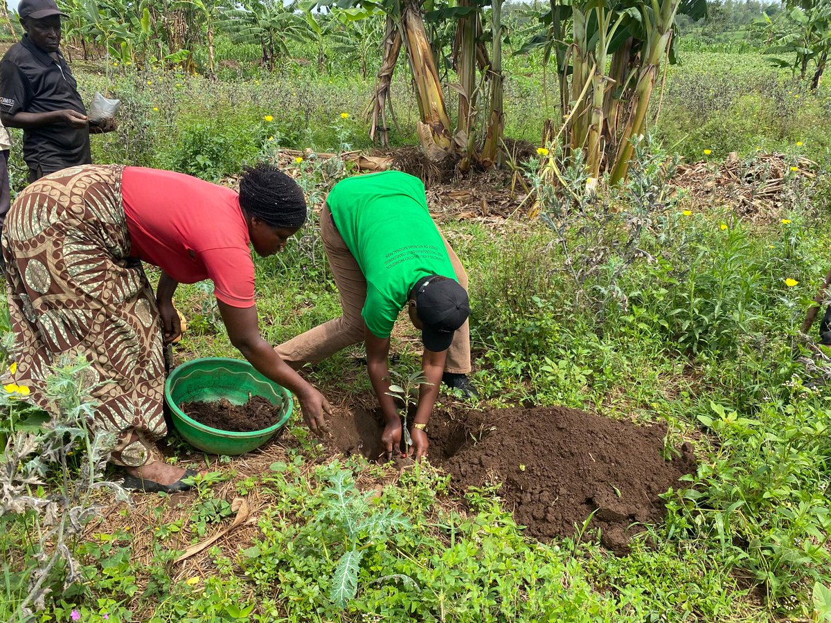 Rural Environment and Development Organization tweet media