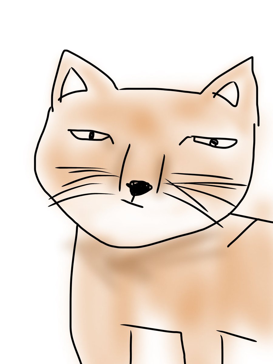 9日目
8日目はメガネザル