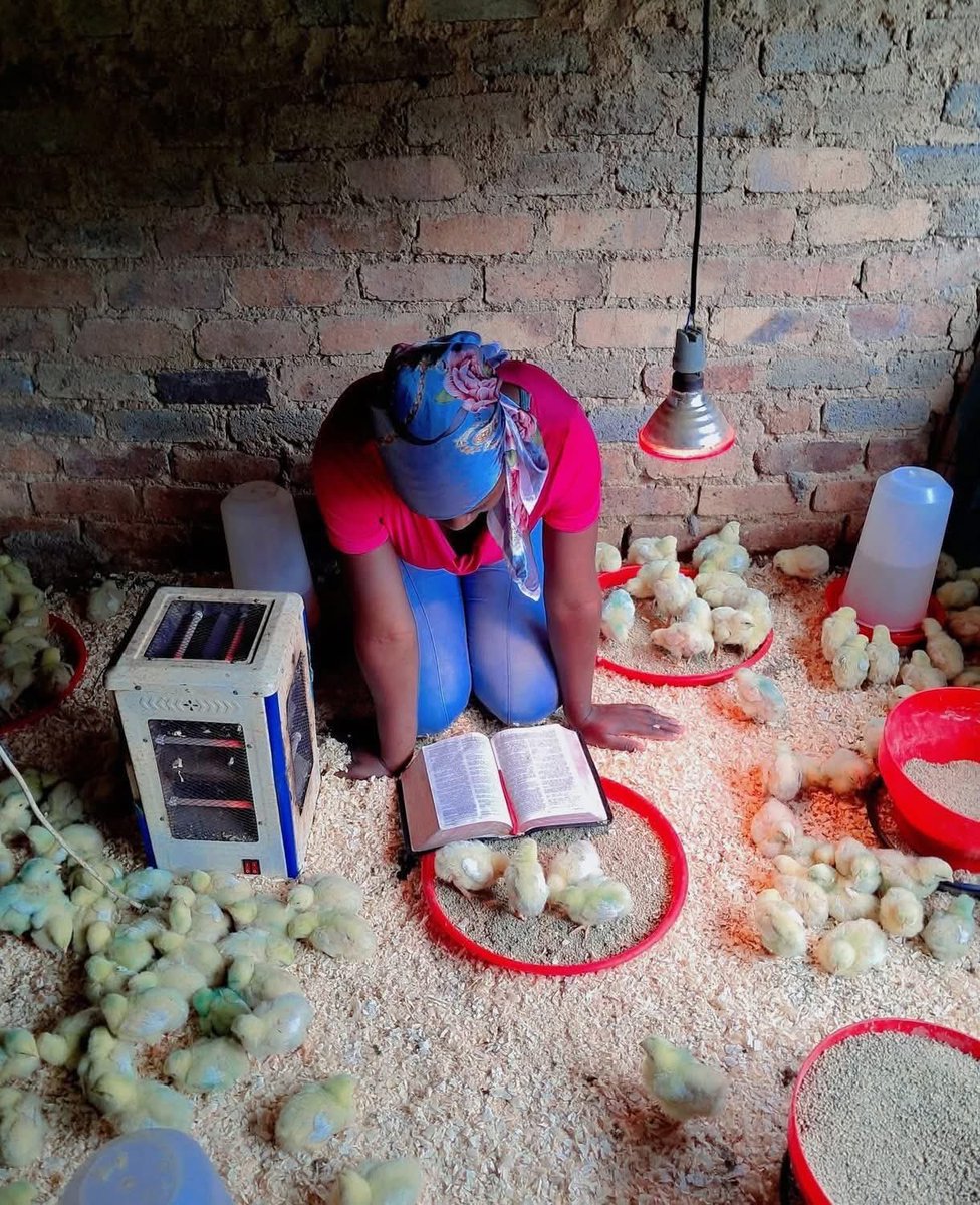 La foi et le travail marchent ensemble.
Sur le champ ou dans la ferme, Dieu reste mon premier partenaire. 💪🏽🐣
