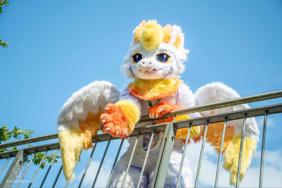 Ellis57903625's tweet image. Grab my hand and we wil go on an adventure 

📸:@GorgoPhotos 
🪡:@LiuyuenLee 

#furry #fursuit