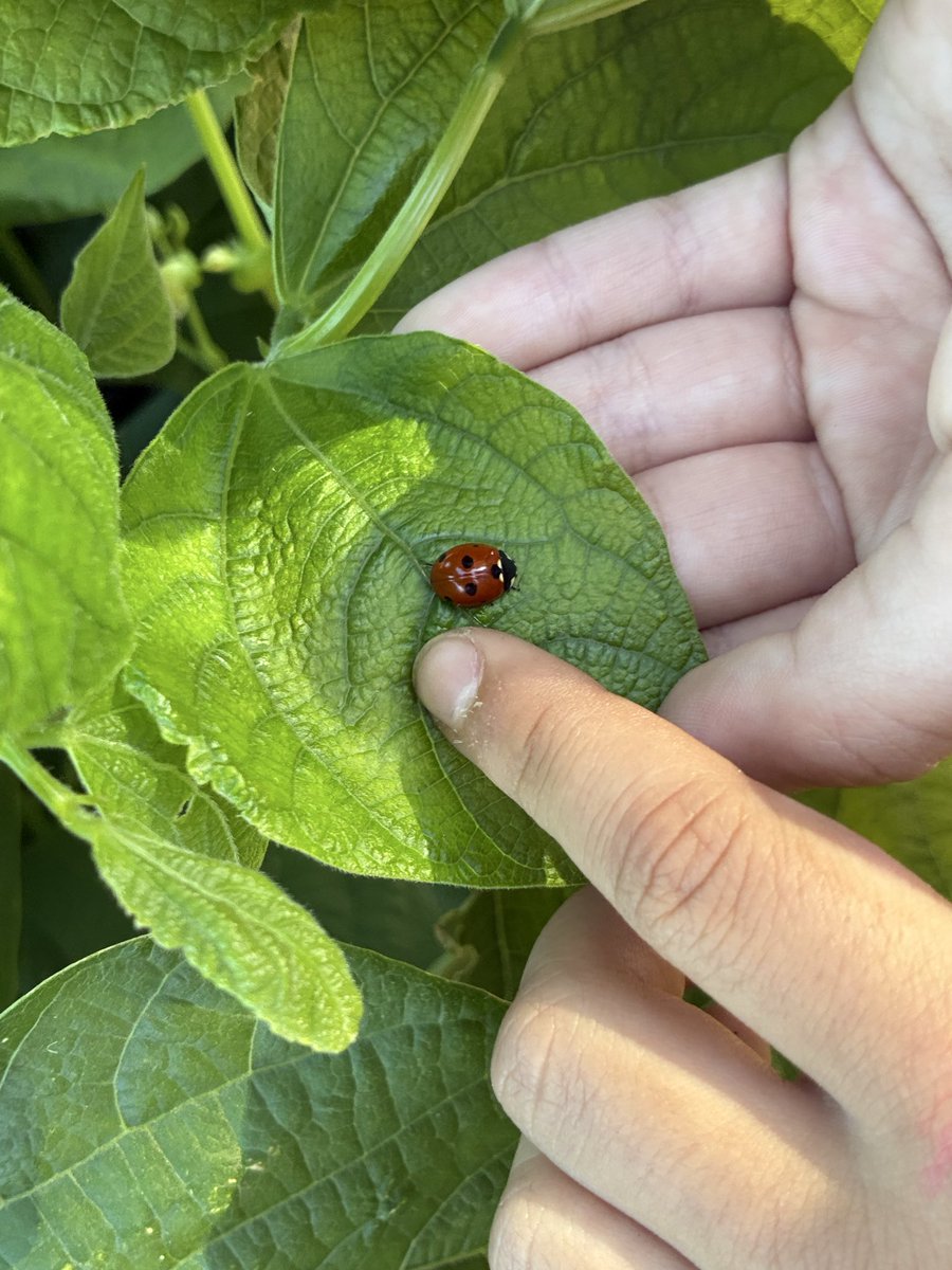 Angela Hoang tweet media