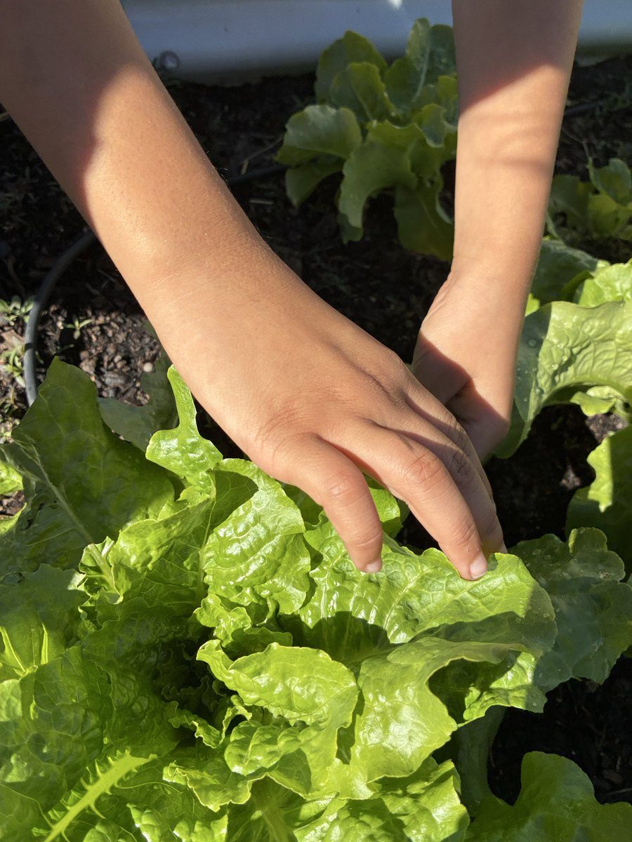 Angela Hoang tweet media