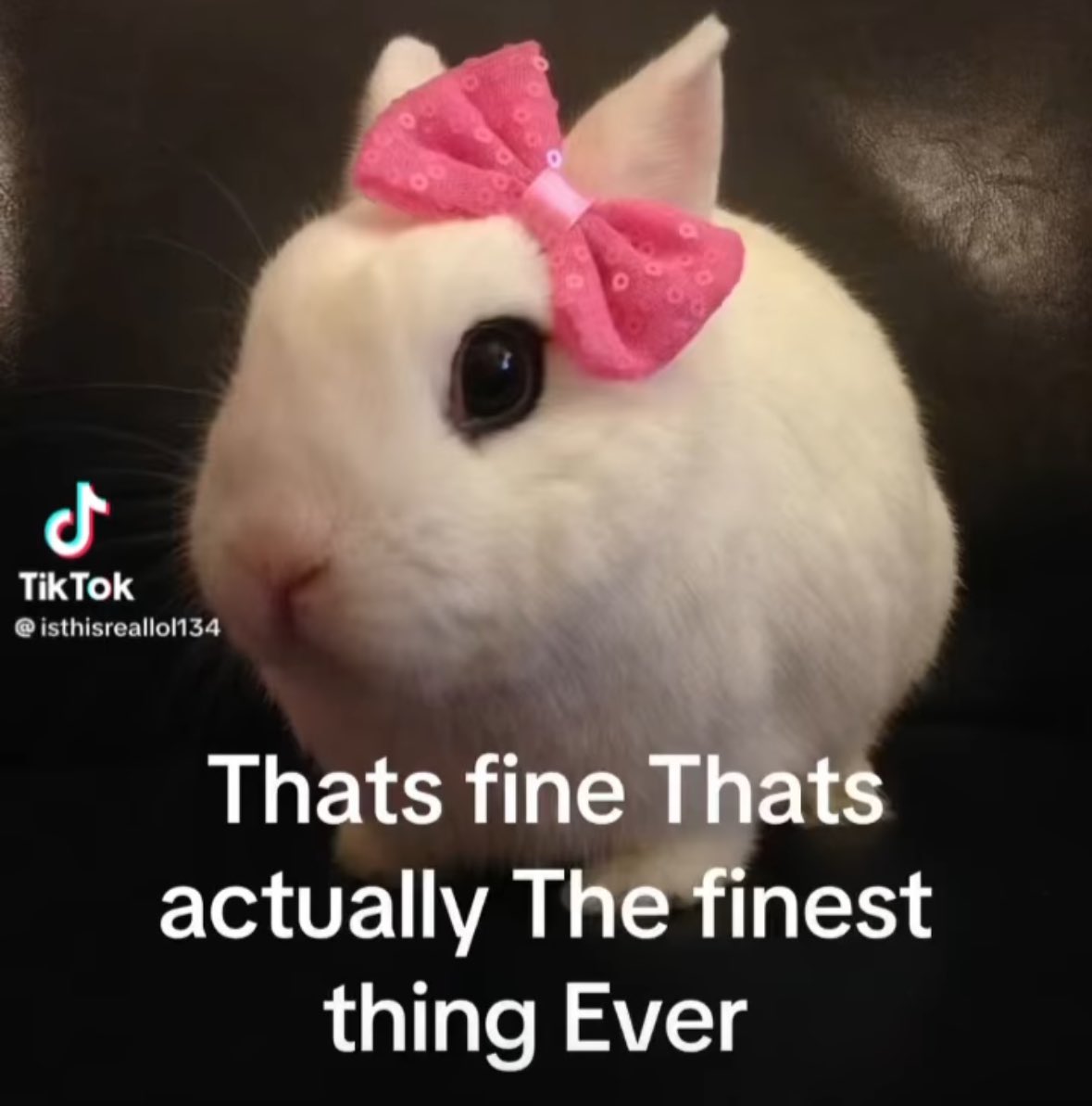 my last two hinge matches unmatched with me after just saying hi