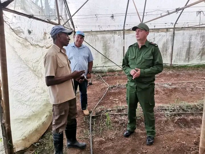 YorquiNavarro's tweet photo. Las máximas autoridades de la provincia avileña visitaron los municipios #Baraguá, #PrimeroDeEnero, #Bolivia y #Morón y se reunieron con productores que se incorporaran a la siembra de Tabaco. También recurrieron áreas de producción y nuevos proyectos.
#LatirAvileño https://t.co/X9oLAjbYI4
