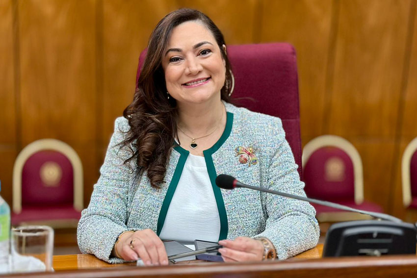 Cámara de Diputados tweet media