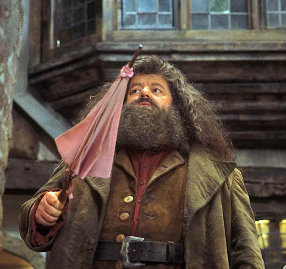 Hogwarts'a seçilmişsin birazdan hagrid seni almaya gelcek