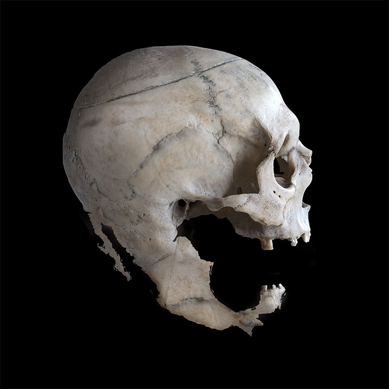 nirvantra's tweet image. Comparto una ilustración personal que representa los tiempos oscuros de México, 77 años de corrupción, 12 años de temor, 7 años de dolor. 

#skull #MexicoDeLuto #illustration #desing #GraphicDesigner #doloryrabia