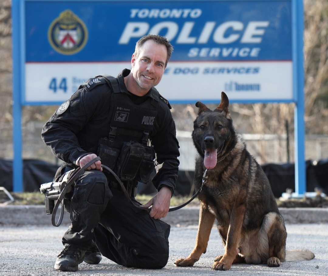 Blue_LineMag's tweet image. The unique, everlasting bond between handlers and their K9s is built through intensive training &amp;amp; constant reliance. Tragically, handlers face profound loss, whether from illness or line-of-duty violence.
Read more: blueline.ca/the-bond-you-c…

#ServiceDogs #K9 #Police #PublicSafety