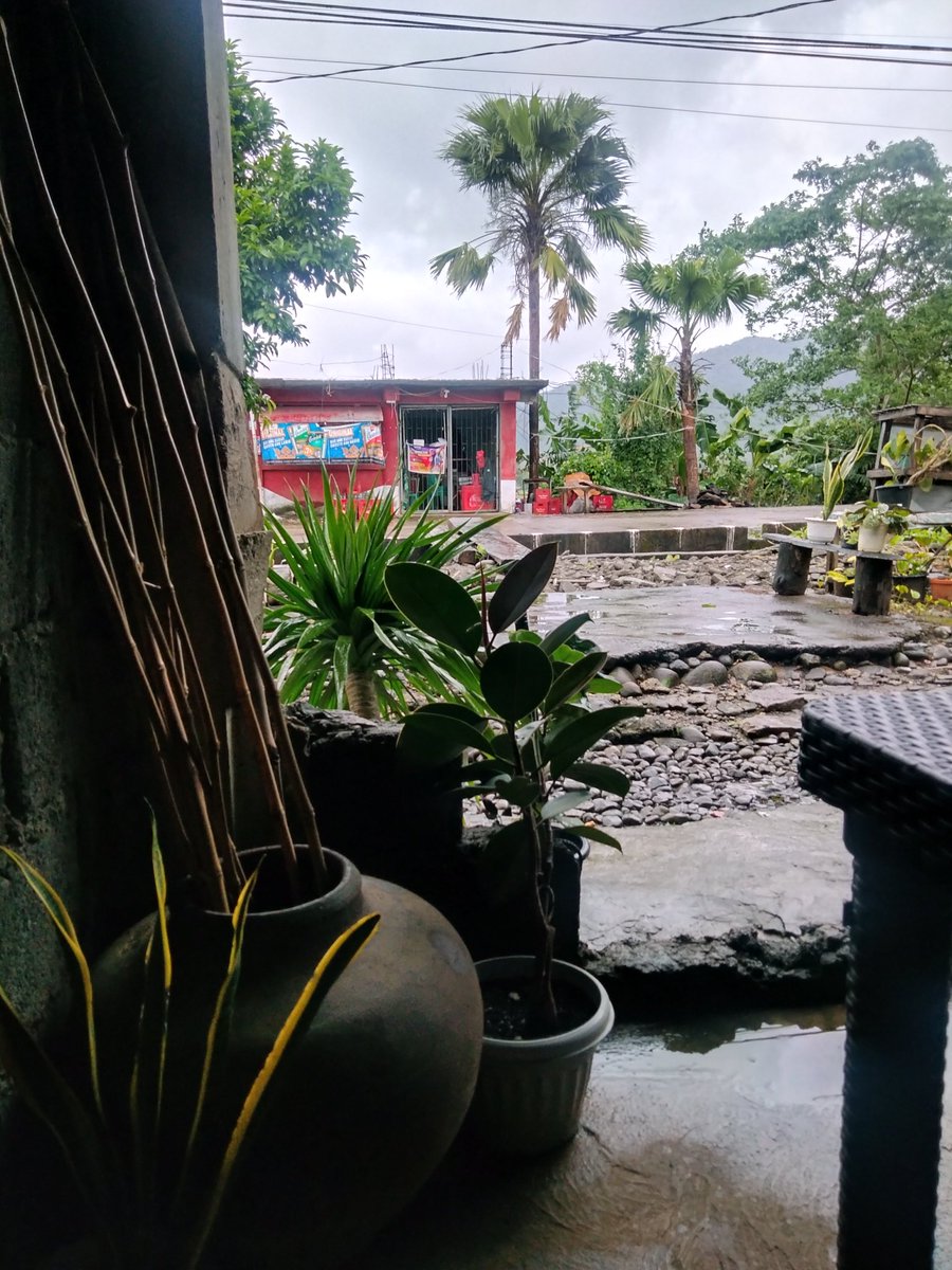 allthingsbykaye's tweet photo. November rain 🩵 https://t.co/wM7Q6ZV1mh