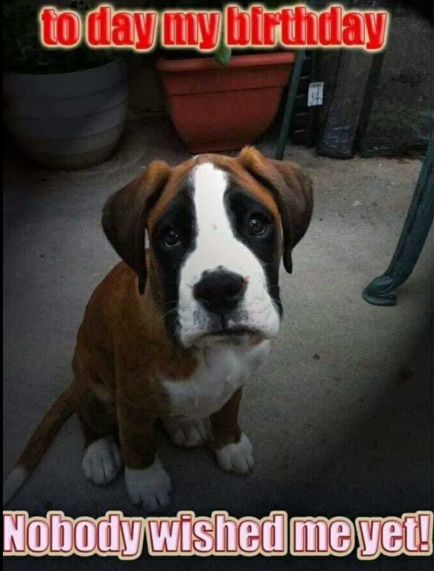 Happy Birthday sweet boy 😍