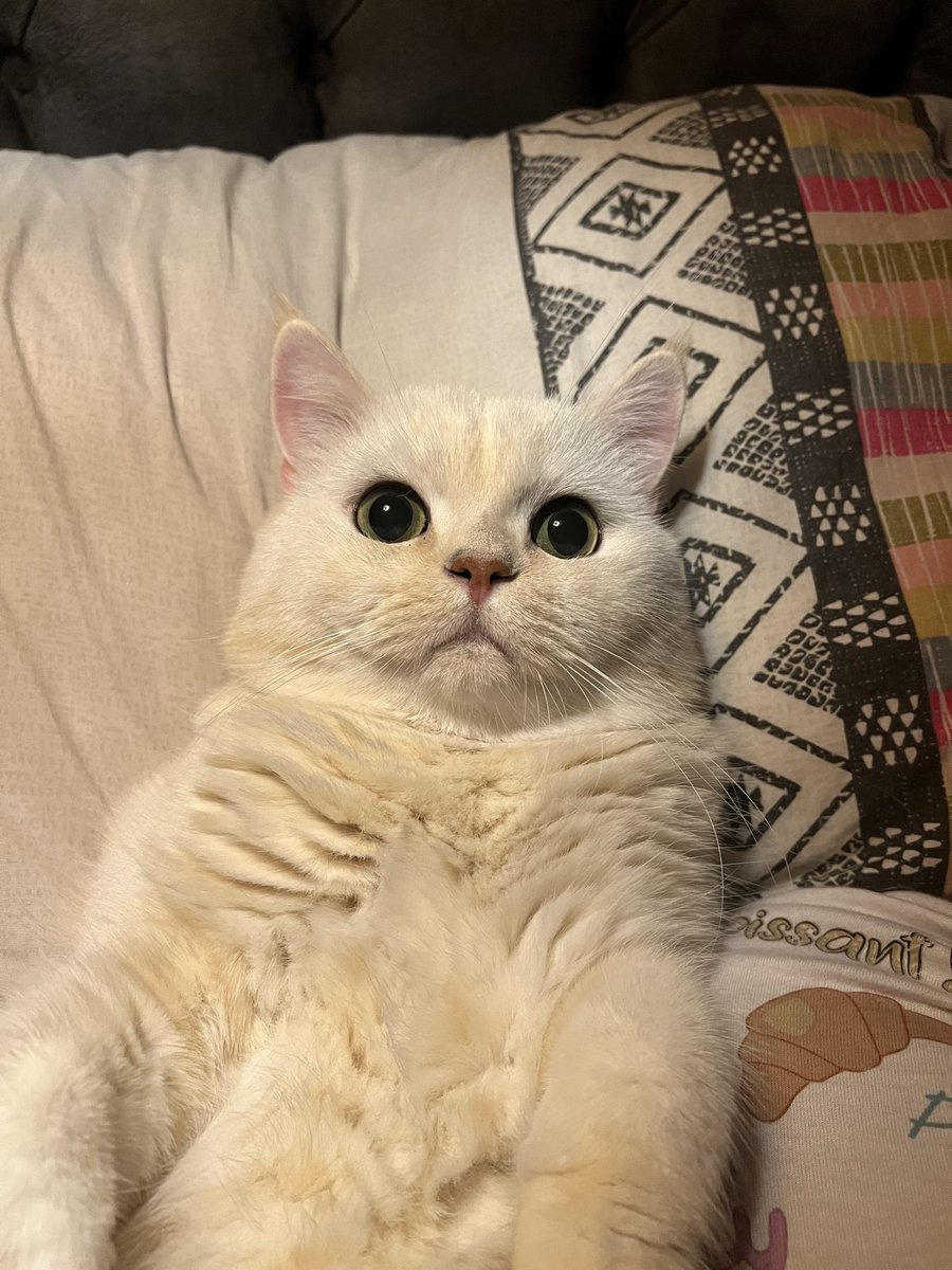 Animasyon karakterim benim hsjskskw