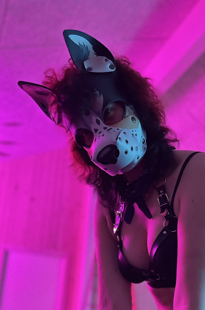 🐾Mazikeen🐾 tweet media