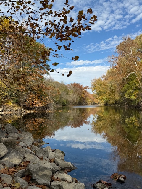MiamiCoParks's tweet image. If you aren't in your parks enjoying the fall colors, you're missing out! Thanks to Colleen Pearson, you can enjoy these photos from Twin Arch Reserve today.