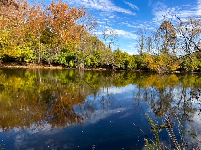 MiamiCoParks's tweet image. If you aren't in your parks enjoying the fall colors, you're missing out! Thanks to Colleen Pearson, you can enjoy these photos from Twin Arch Reserve today.
