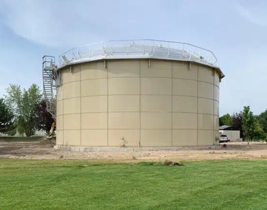 Sharky Rabbit tweet media