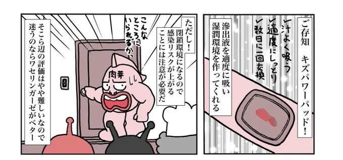 キズパワーパッド。
管理はラクなんだけど、傷口にバイ菌ごと閉じ込めて培養させることになりうるから、使い方は要注意。

毎日水でよく洗ってワセリン塗布がリスクは少ないよ。 