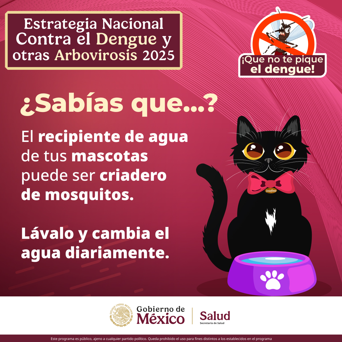 El agua estancada en el plato de tu mascota puede ser un refugio perfecto para los mosquitos.
Mantener el agua fresca y limpia en los platos de tus animales de compañía, también te protege de los criaderos de mosquitos transmisores de dengue. 👍
