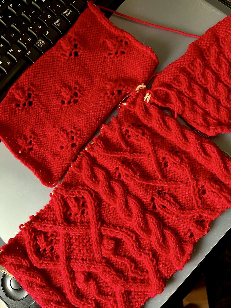 TOMO_LoopDesign's tweet image. 計画中。
年内には編み方動画までできればいいな。

🟥赤🟥　

ケーブルとか透かしとか入れた組織柄。
こうなると、トップダウンより、とじはぎありかなぁ。

#手編み #編み物 #棒針