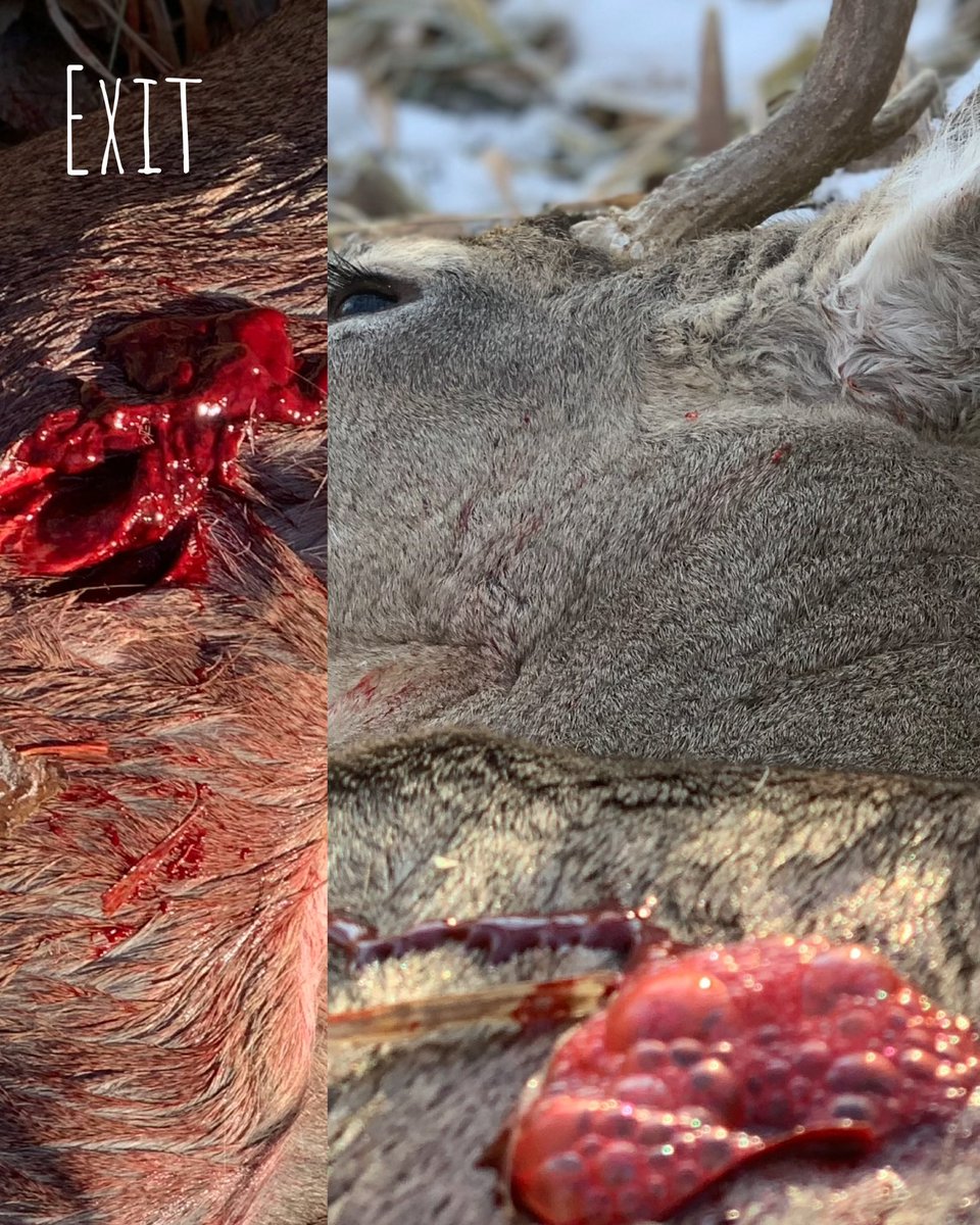 huntography tweet media