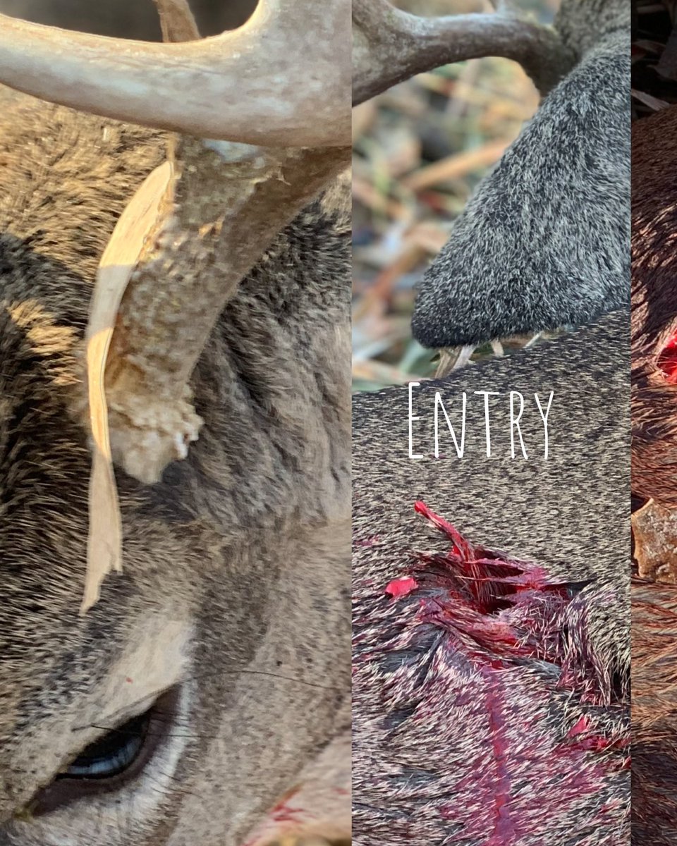 huntography tweet media