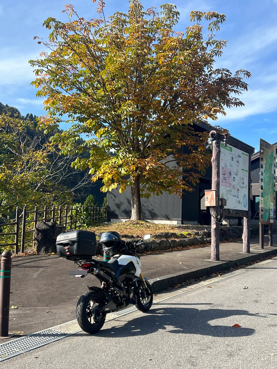 Yuki 7台 Grand Seiko SBGJ271 Yukigesho Hi-Beat 36000 GMT - Exquisite Timepieces