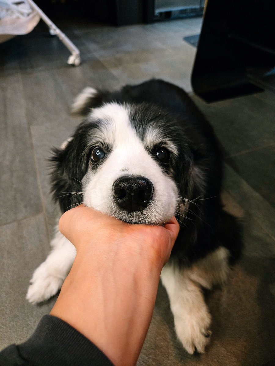 #KIMHYUNJOONG 
#김현중 
#キムヒョンジュン 
#金賢重 #금요락회