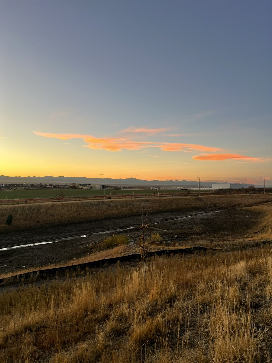 Community Solutions tweet media