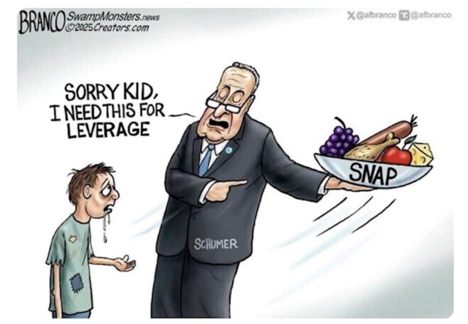 <a href="/MAGAVoice/">MAGA Voice</a> We’ll what a coincidence, the first crash since the Schumer Shutdown.