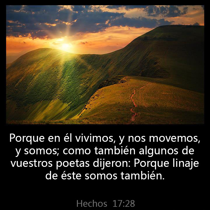 All Grace Abound tweet media