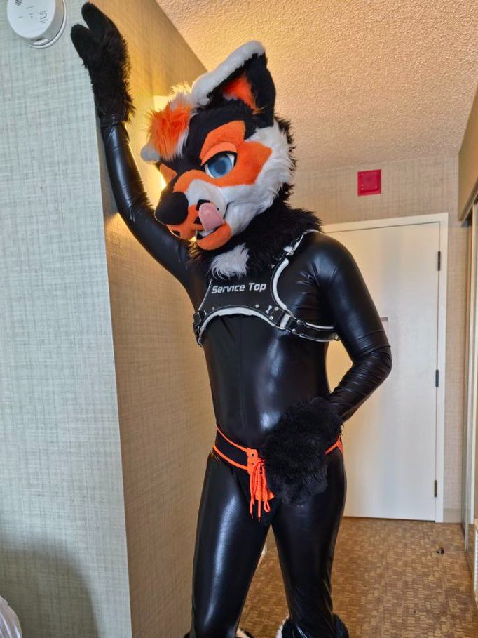 Frisky 🦨 Skuppy 🐶 ➡️ FE & AC tweet media