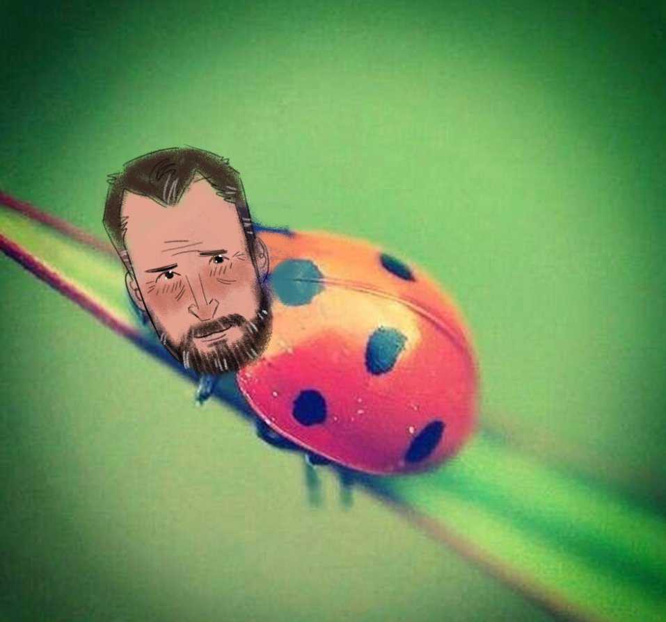 im a entomologist and i just took this picture