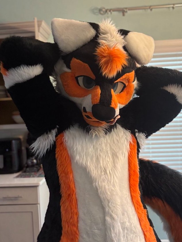 Frisky 🦨 Skuppy 🐶 ➡️ FE & AC tweet media