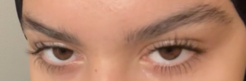 Cestca10 tweet media