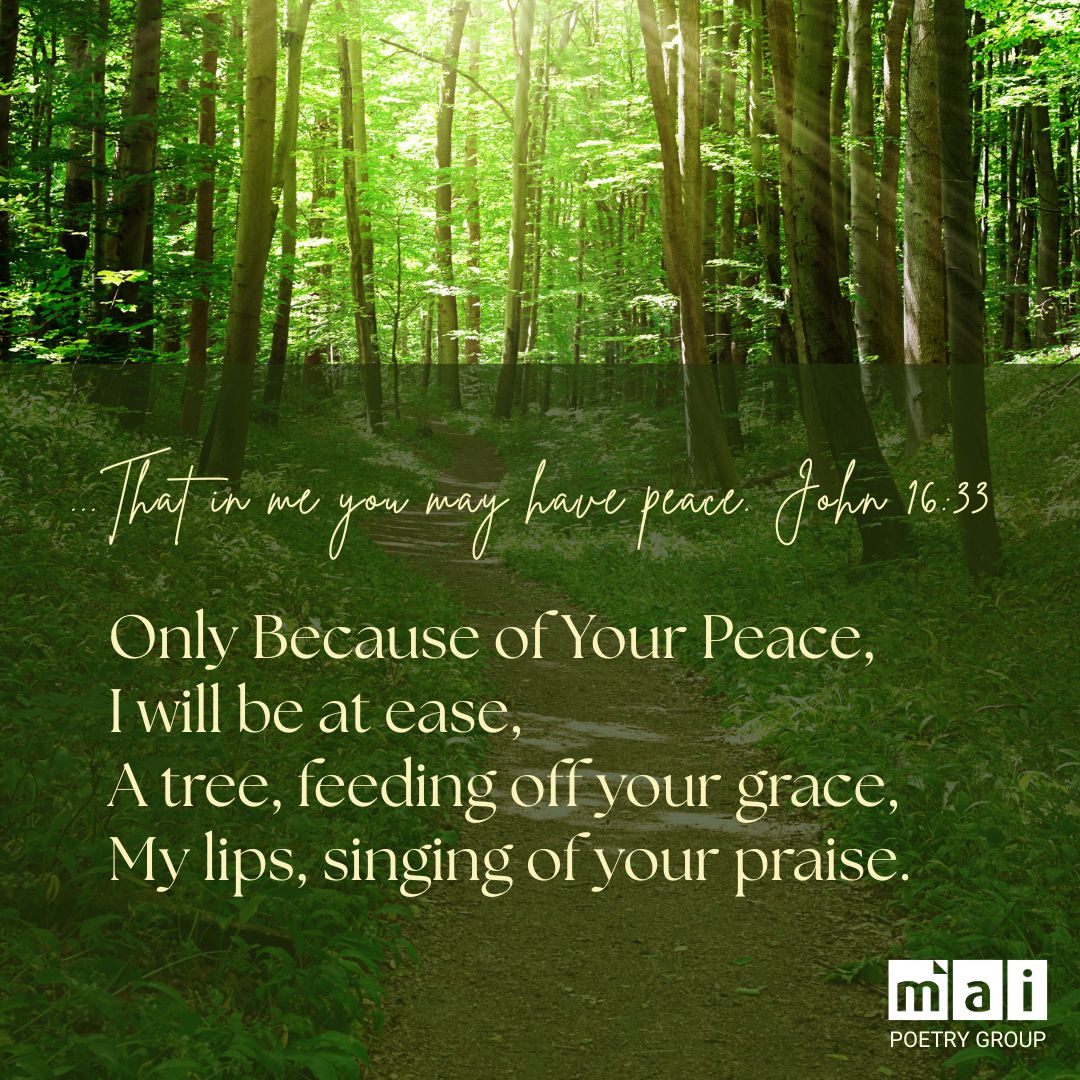 Media Associates International - MAI tweet media