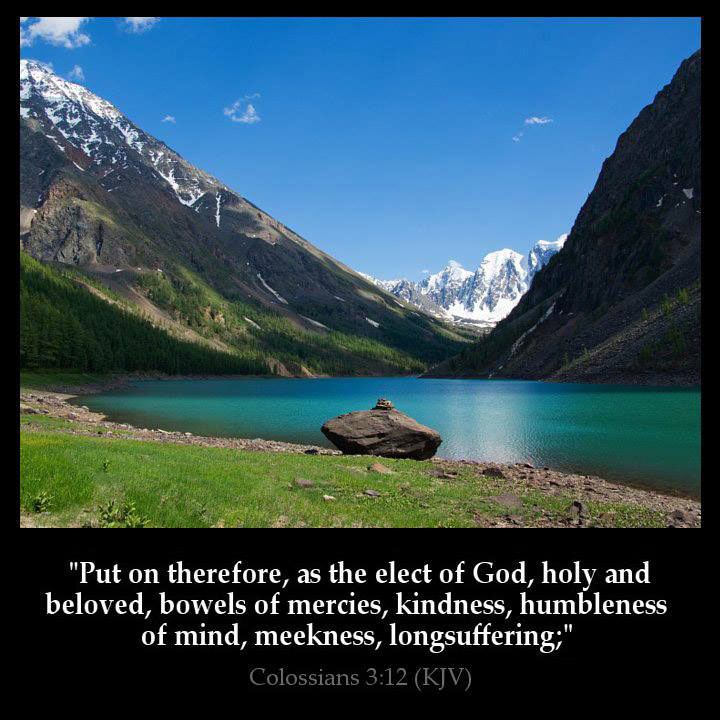 All Grace Abound tweet media